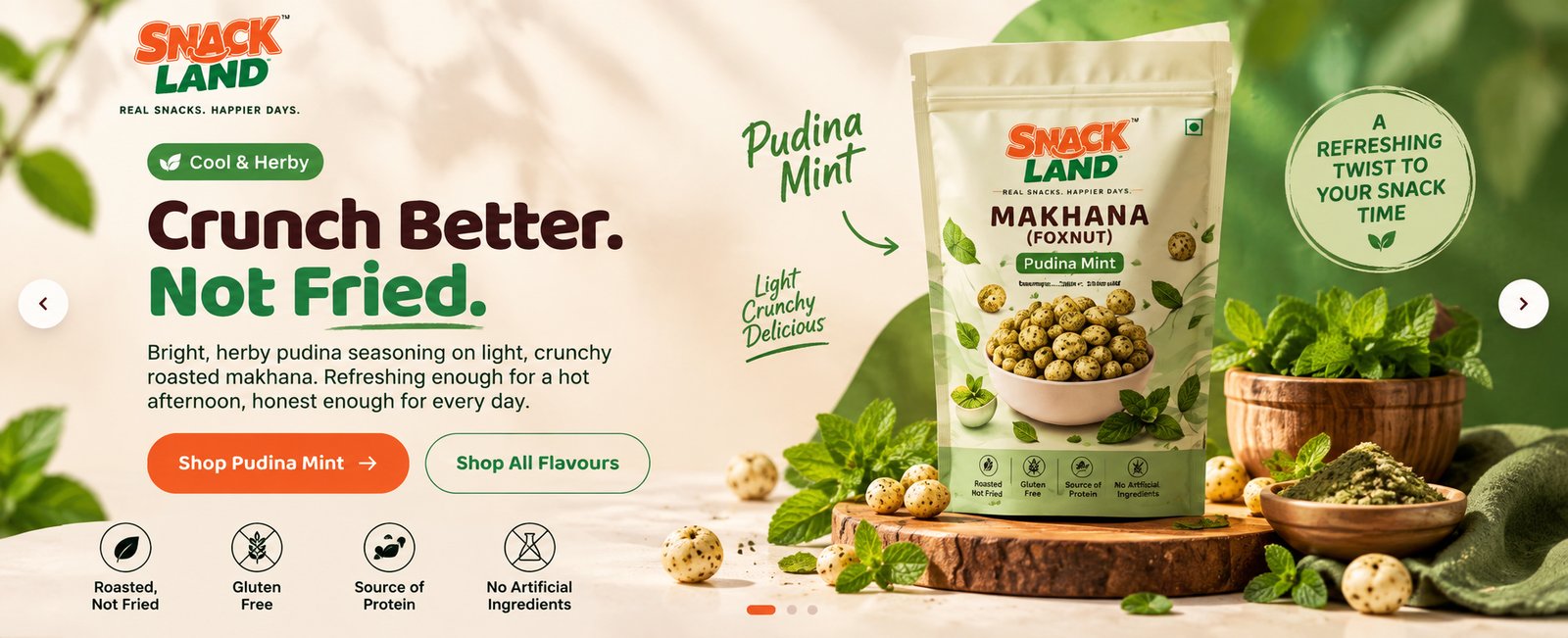 Snack Land Pudina Mint Makhana — shop now